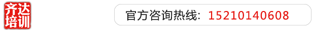 欧美肥婆要操逼齐达艺考文化课-艺术生文化课,艺术类文化课,艺考生文化课logo